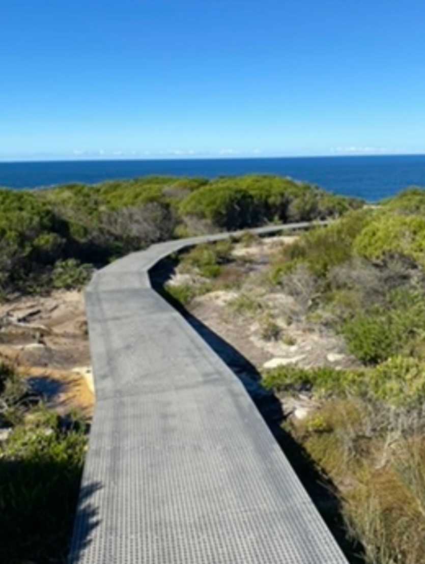 Winding boardwalk through coastal scrub toward the ocean