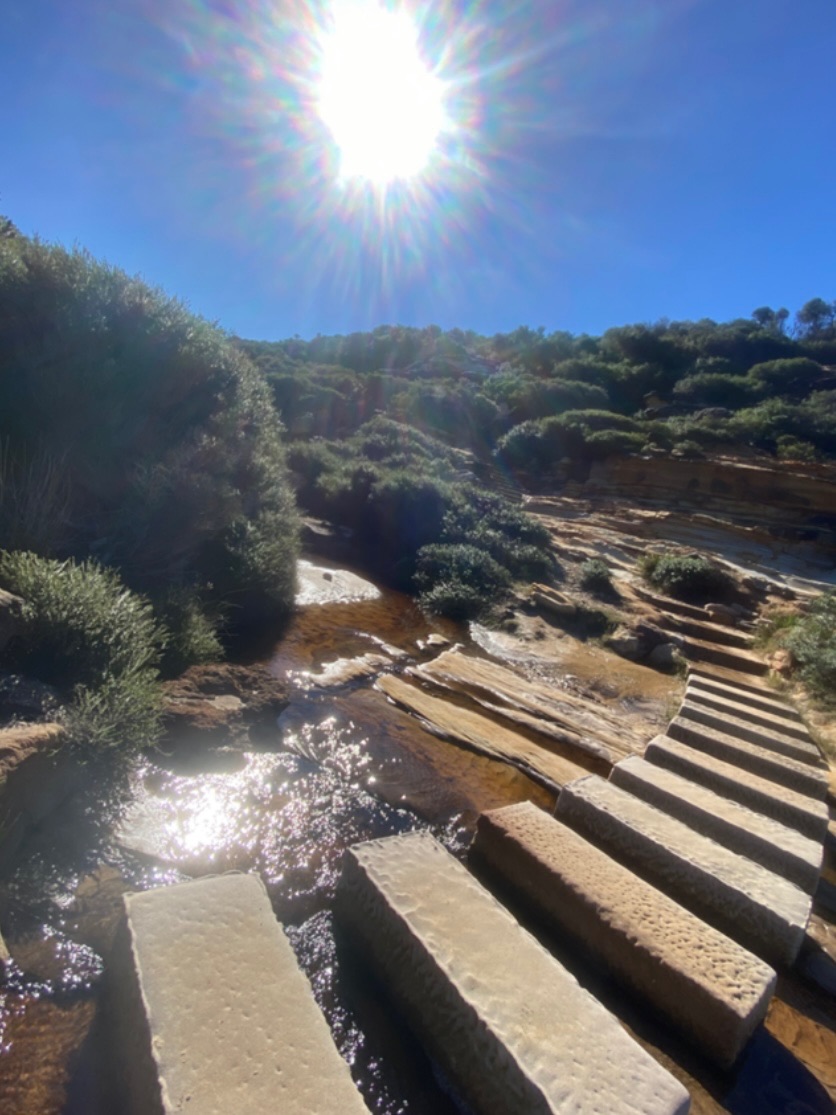 Stone steps beside a sunlit creek in the Royal National Park