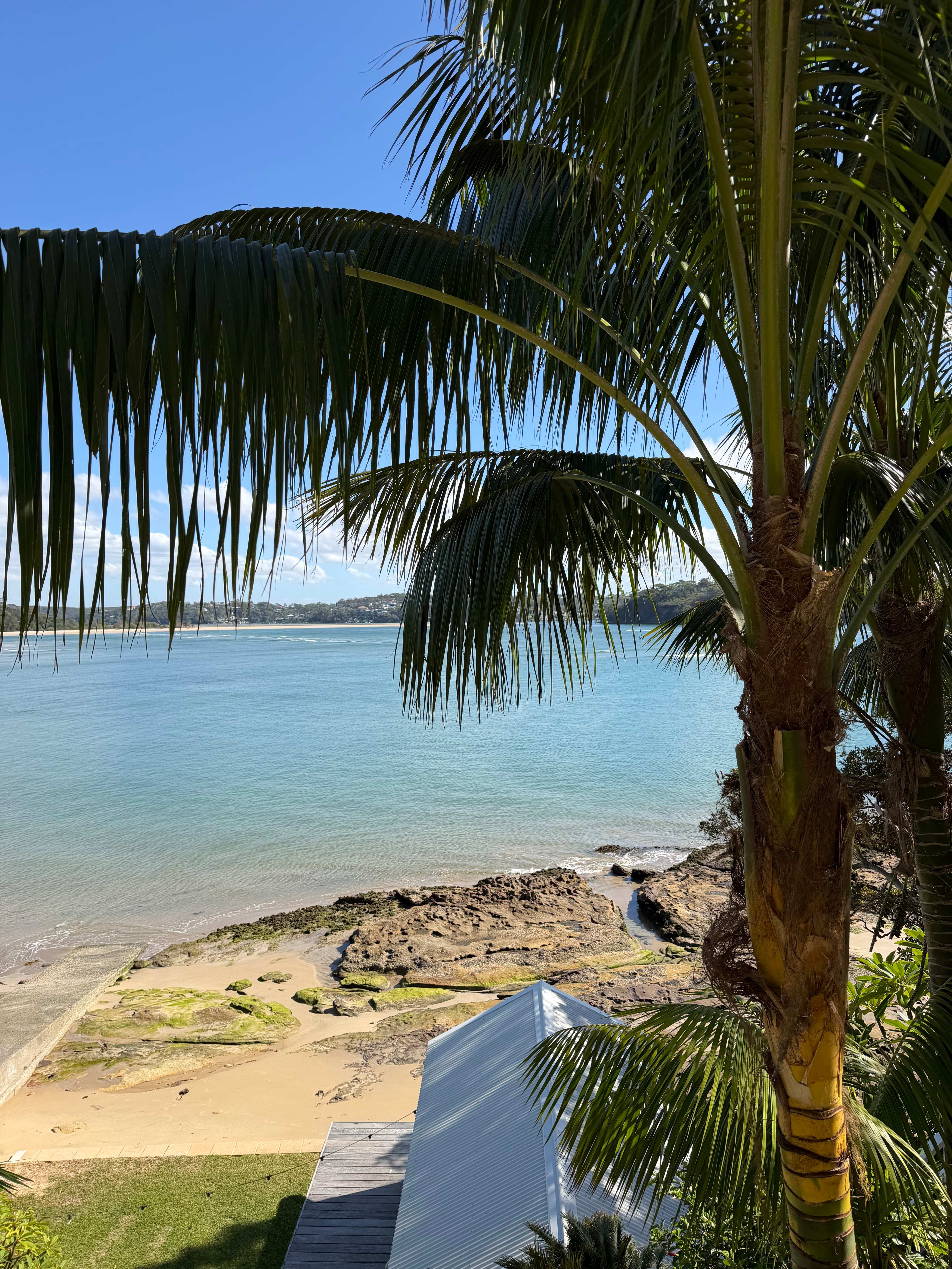 Palm tree framing turquoise bay view with boatshed roof below